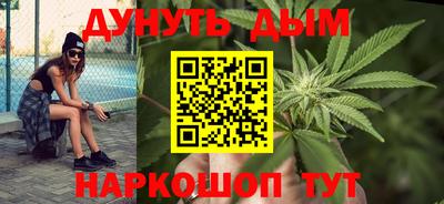 альфа пвп Новодвинск