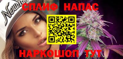альфа пвп Новодвинск